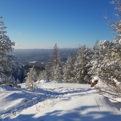 Альбин Шакиров, 09.01.1986, Сургут