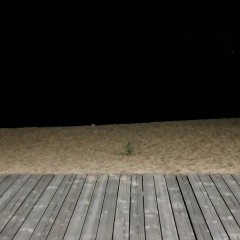 Дамир Гайнутдинов, 16.03.1985, Чистополь