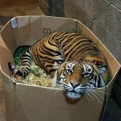 Светлана Рогожина, 06.04, Москва