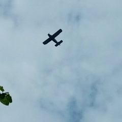 Виктор Авдеев, 13.10.1982, Москва