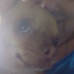 Наталья Волобуева, 01.04, Санкт-Петербург