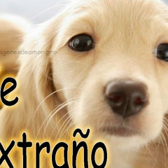 Yamilet Gonsales, 08.05.2000, Chiclayo