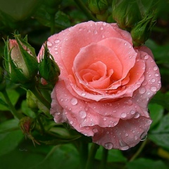 Khin Thandar, 23.02.2004