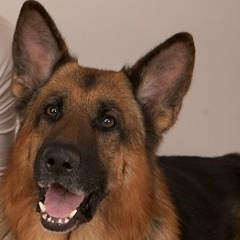 Светлана Гарягина, 20.02