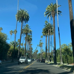 Кока Каландаришвили, 21.12.1988, Los Angeles