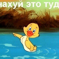 Александр Игоревич, Санкт-Петербург