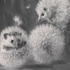 Наталия Казакова, 22.05, Самара