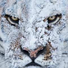 Анютка Пілявська, 09.10.1997, Хмельницкий