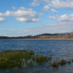 Александр Иванович, 22.03.1984