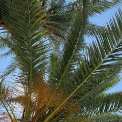 Анастасия Малыкина, 21.02.1985, Санкт-Петербург