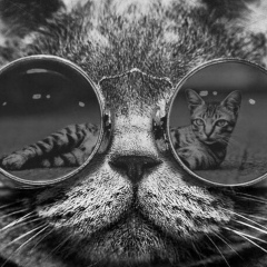 Олег Бакунин, 07.08, Москва