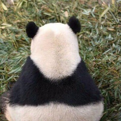 Ксения Демина, 23.03.1987, Москва