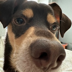 Сергей Бурцев, 07.09.1984, Тюмень