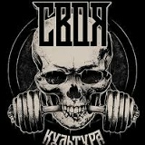 Александр Лис, Ростов-на-Дону