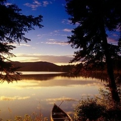 Светлана , 01.01.1994, Санкт-Петербург