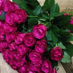 Гульмира Садвакасова, 25.10, Тараз