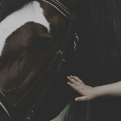 Айсена Майер, 04.07