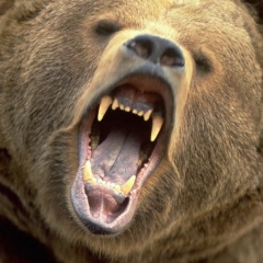 Алексей Белокопытов, 07.04