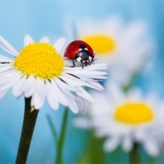 Светлана Елькина, 05.01, Екатеринбург