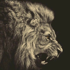 Даурен Болатов, Кызылорда