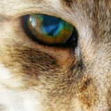 Ольга Челнокова, 14.02.1981, Бишкек