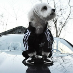 Артём Егоров, 23.09.1989, Санкт-Петербург