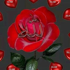 Аббас Мамадов