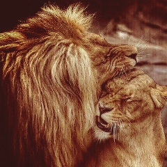 Алёночка Студеникина, 16.09, Москва