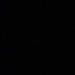 Olga Ostrovskiy, 03.12, Washington, D.C.