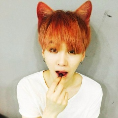 Шуга Кот, 01.09, Seoul