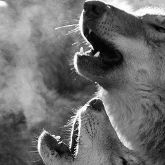 Alex Trofimov, 02.01, Екатеринбург