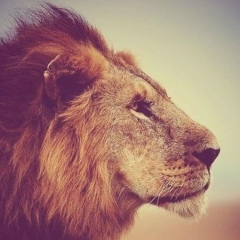 Вика Белоногова, 19.08.1989