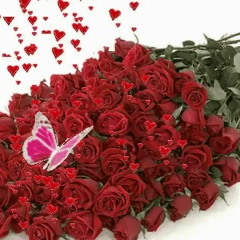 Асема Садыкова, 02.04.1991, Алматы