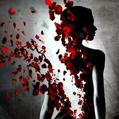 Lo Ve, 12.11, Санкт-Петербург