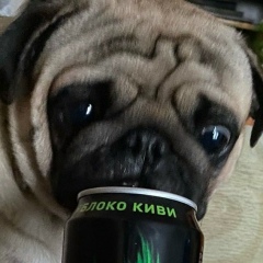 Иван Фёдоров, 18.03