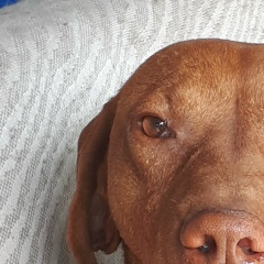 Алексей Ягников, 02.10.1981, Караганда