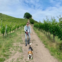 Евгений Постников, 18.03.1985, Dresden