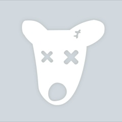 Алексей Гузеев, Ставрополь