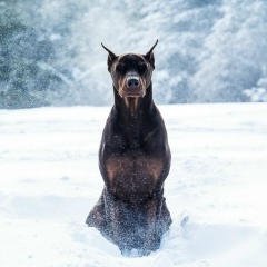 Александр Александров, 24.08, Москва