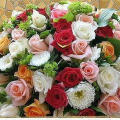 Гульчехра Пахретова, 13.01.1982, Алматы