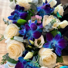 Елена Александровна, Москва