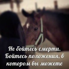 Макка Муртазалиева, Грозный