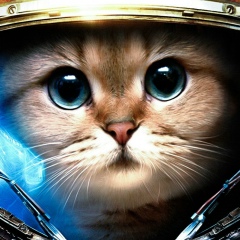 Алексей Чуркин, 21.01.1983, Санкт-Петербург