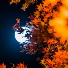 Керим Байдаев, 19.12.1990, Нальчик