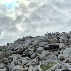 Инна Шульц, Санкт-Петербург