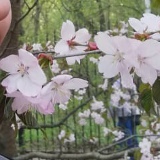 Влад Петлицкий, 13.10.1990, Москва