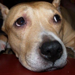 Юлия Панчева, 12.12, Москва