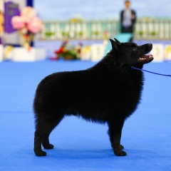 Светлана Быкова, 22.04, Санкт-Петербург