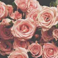 Алма Еркиновна, 11.03