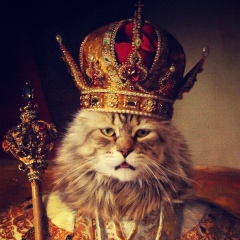 Kar Sirakovich, 22.10